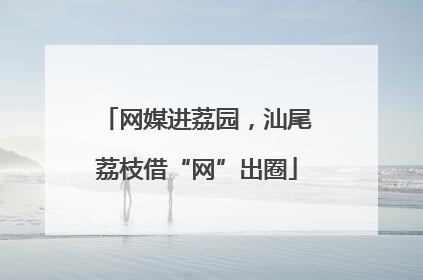 网媒进荔园，汕尾荔枝借“网”出圈