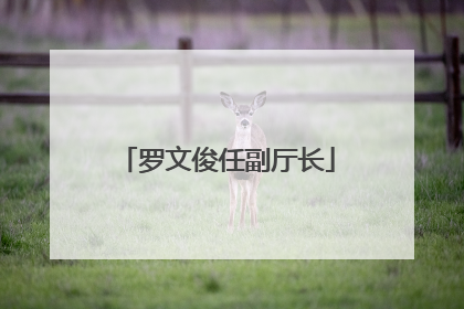 罗文俊任副厅长