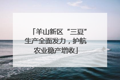 羊山新区“三夏”生产全面发力，护航农业稳产增收