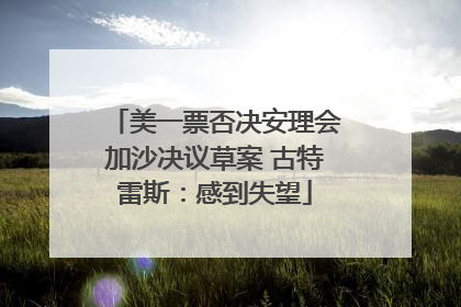 美一票否决安理会加沙决议草案 古特雷斯：感到失望