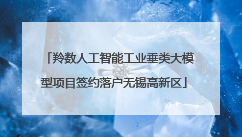 羚数人工智能工业垂类大模型项目签约落户无锡高新区