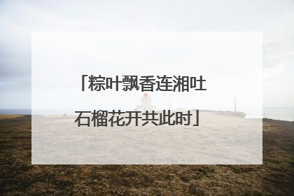 粽叶飘香连湘吐 石榴花开共此时