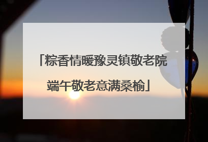 粽香情暖豫灵镇敬老院 端午敬老意满桑榆
