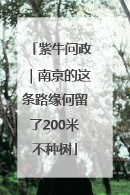 紫牛问政｜南京的这条路缘何留了200米不种树
