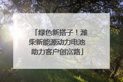 绿色新搭子！潍柴新能源动力电池助力客户创富路
