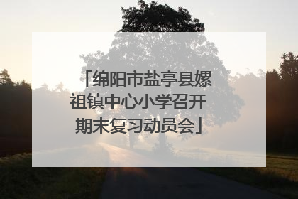 绵阳市盐亭县嫘祖镇中心小学召开期末复习动员会