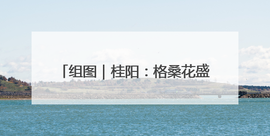 组图｜桂阳：格桑花盛开 如画美景引客来