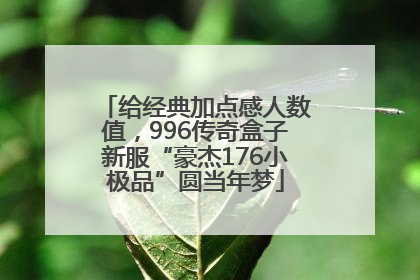 给经典加点感人数值，996传奇盒子新服“豪杰176小极品”圆当年梦