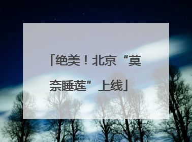 绝美！北京“莫奈睡莲”上线