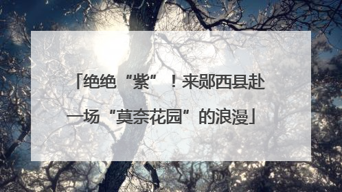 绝绝“紫”！来郧西县赴一场“莫奈花园”的浪漫
