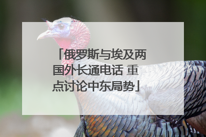 俄罗斯与埃及两国外长通电话 重点讨论中东局势