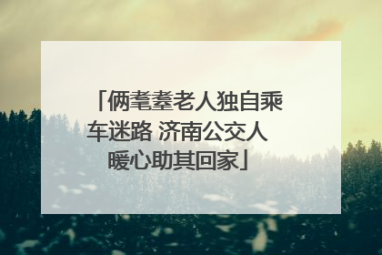俩耄耋老人独自乘车迷路 济南公交人暖心助其回家