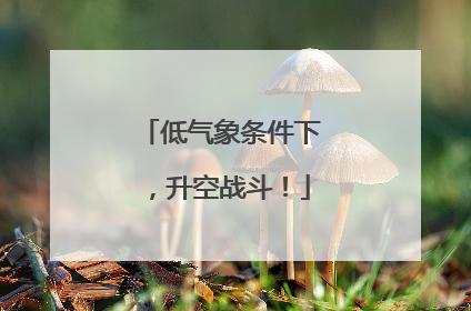 低气象条件下，升空战斗！