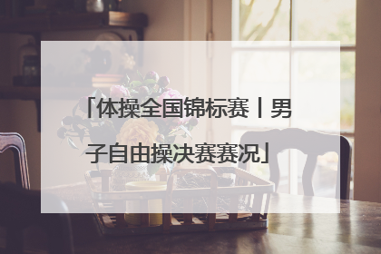 体操全国锦标赛丨男子自由操决赛赛况