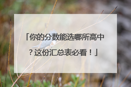 你的分数能选哪所高中？这份汇总表必看！