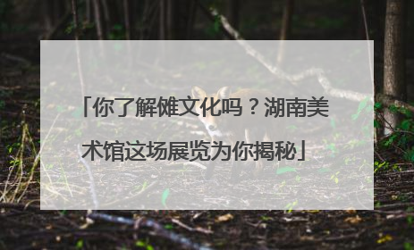 你了解傩文化吗？湖南美术馆这场展览为你揭秘