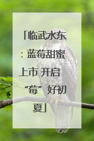 临武水东：蓝莓甜蜜上市 开启“莓”好初夏