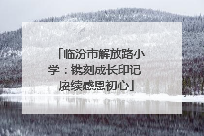 临汾市解放路小学：镌刻成长印记 赓续感恩初心
