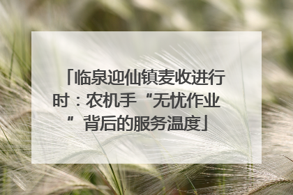 临泉迎仙镇麦收进行时：农机手“无忧作业”背后的服务温度