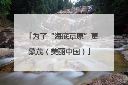 为了“海底草原”更繁茂（美丽中国）