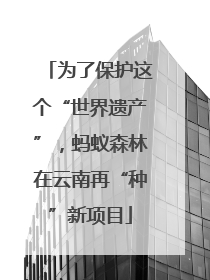 为了保护这个“世界遗产”，蚂蚁森林在云南再“种”新项目