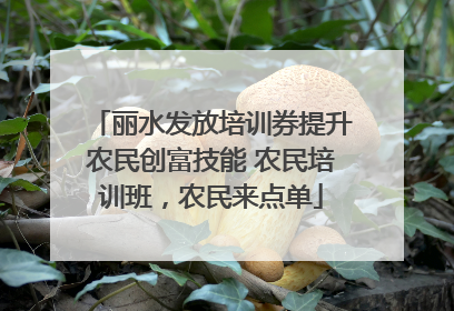 丽水发放培训券提升农民创富技能 农民培训班，农民来点单