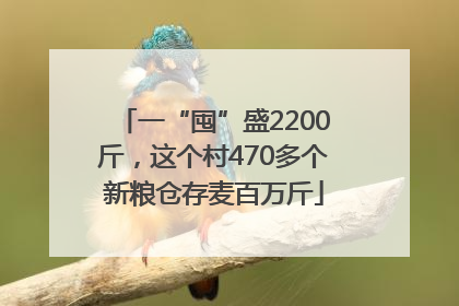 一“囤”盛2200斤，这个村470多个新粮仓存麦百万斤