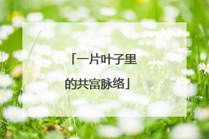 一片叶子里的共富脉络