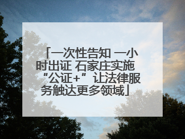 一次性告知 一小时出证 石家庄实施“公证+”让法律服务触达更多领域