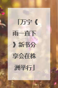 万宁《雨一直下》新书分享会在株洲举行