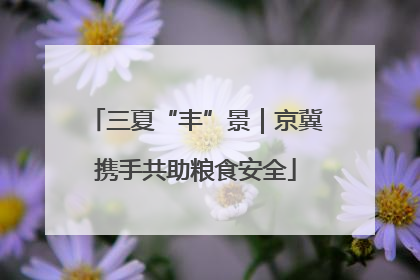三夏“丰”景｜京冀携手共助粮食安全