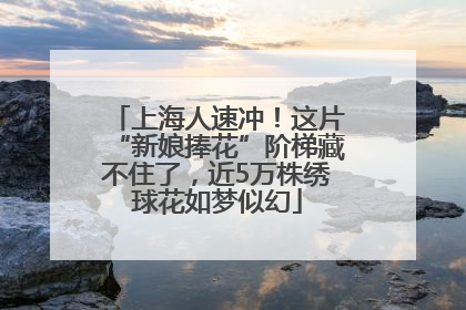 上海人速冲！这片“新娘捧花”阶梯藏不住了，近5万株绣球花如梦似幻