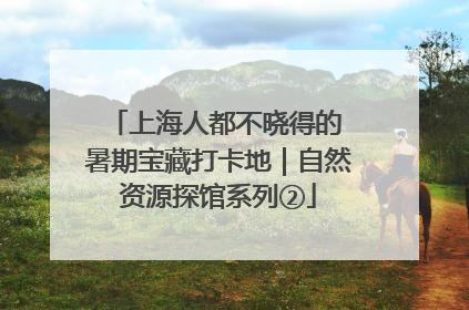 上海人都不晓得的 暑期宝藏打卡地｜自然资源探馆系列②