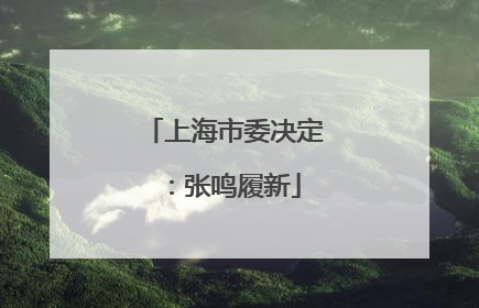 上海市委决定：张鸣履新