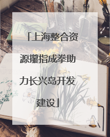 上海整合资源攥指成拳助力长兴岛开发建设