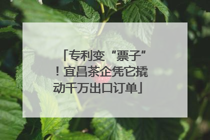 专利变“票子”！宜昌茶企凭它撬动千万出口订单