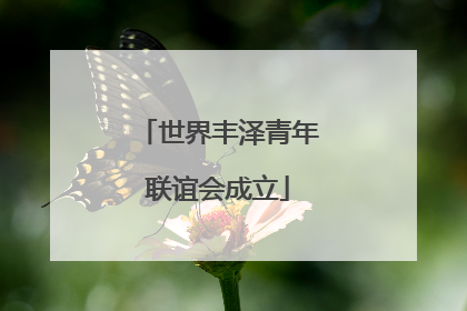 世界丰泽青年联谊会成立