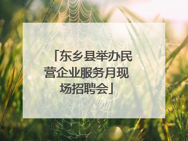 东乡县举办民营企业服务月现场招聘会