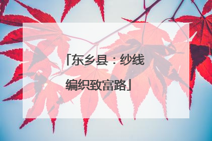 东乡县：纱线编织致富路