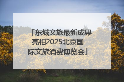 东城文旅最新成果亮相2025北京国际文旅消费博览会