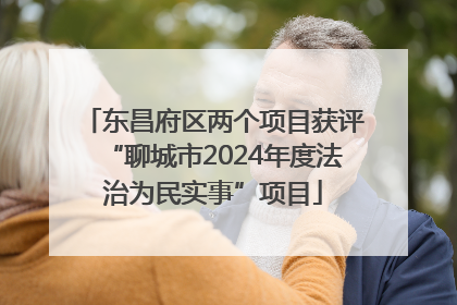 东昌府区两个项目获评“聊城市2024年度法治为民实事”项目
