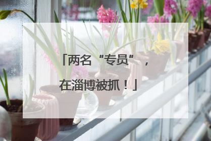 两名“专员”，在淄博被抓！