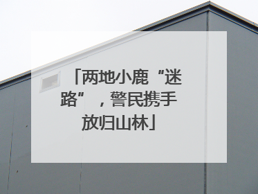 两地小鹿“迷路”，警民携手放归山林