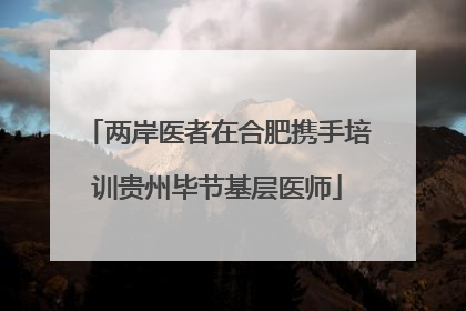 两岸医者在合肥携手培训贵州毕节基层医师