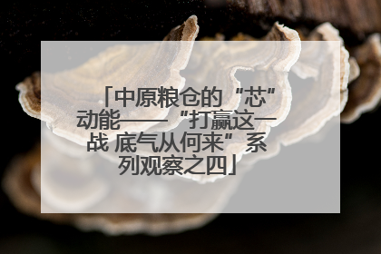 中原粮仓的“芯”动能——“打赢这一战 底气从何来”系列观察之四