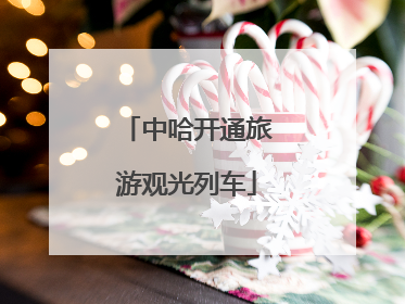 中哈开通旅游观光列车
