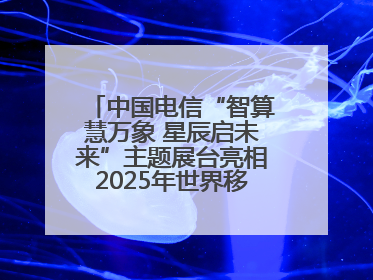 中国电信“智算慧万象 星辰启未来”主题展台亮相2025年世界移动通信大会