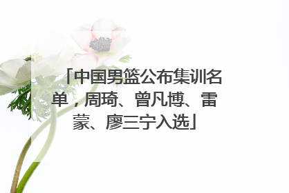 中国男篮公布集训名单，周琦、曾凡博、雷蒙、廖三宁入选