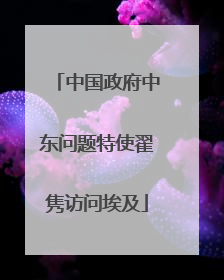 中国政府中东问题特使翟隽访问埃及