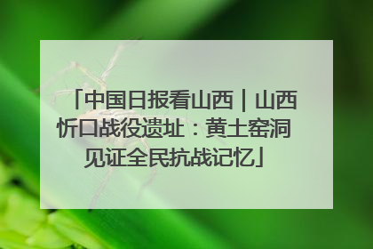 中国日报看山西｜山西忻口战役遗址：黄土窑洞见证全民抗战记忆